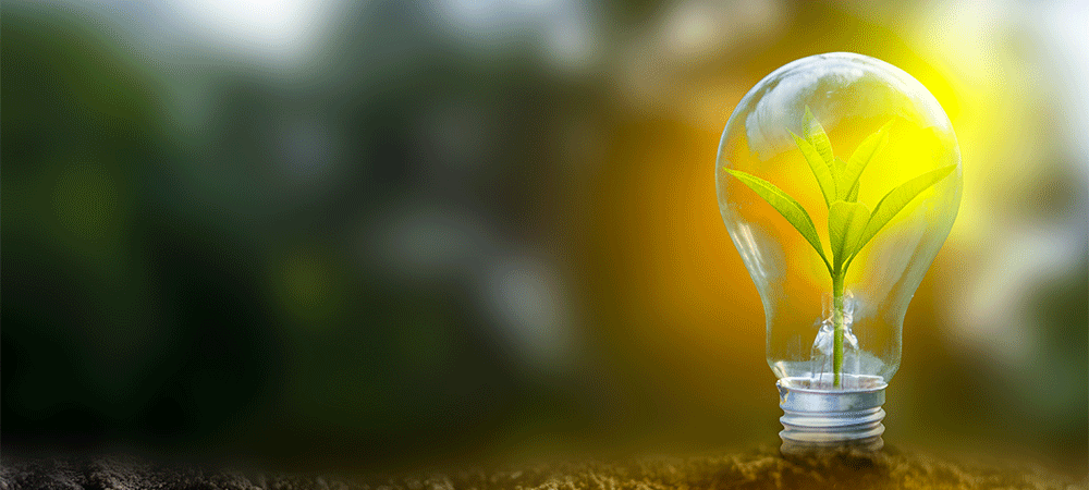 A manifesto for change: How Government can support SMEs in their mission to be more sustainable