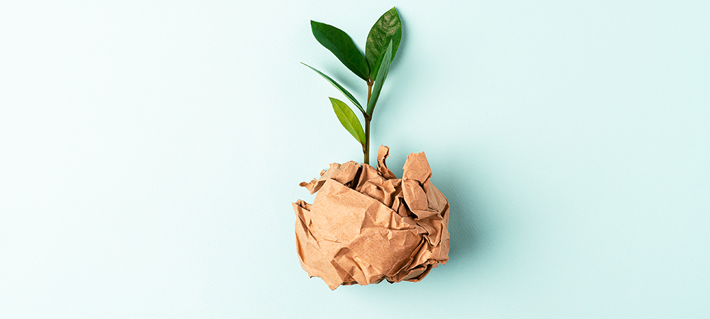Less than half of SMEs use a recycling service despite motivation to be sustainable 