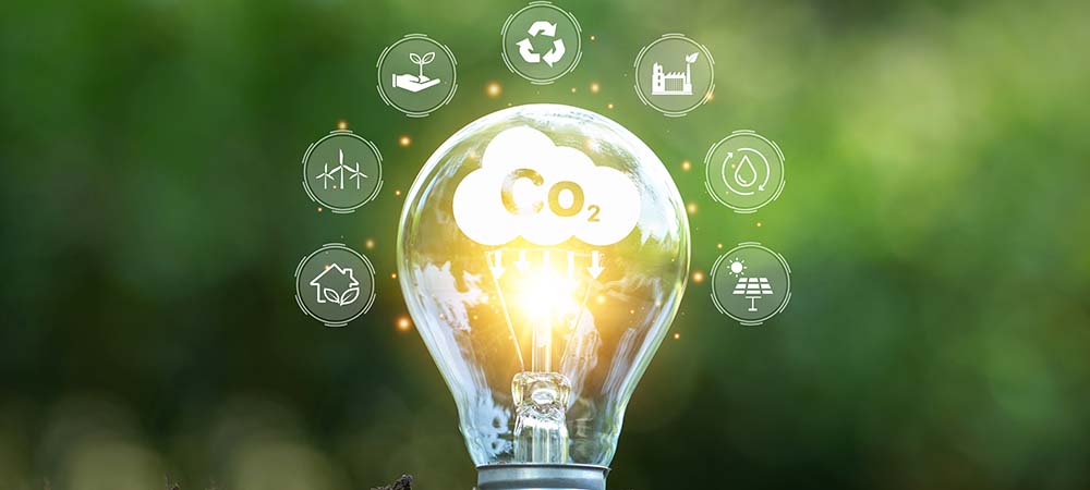 Number of UK SMEs with science-based targets to jump 20%