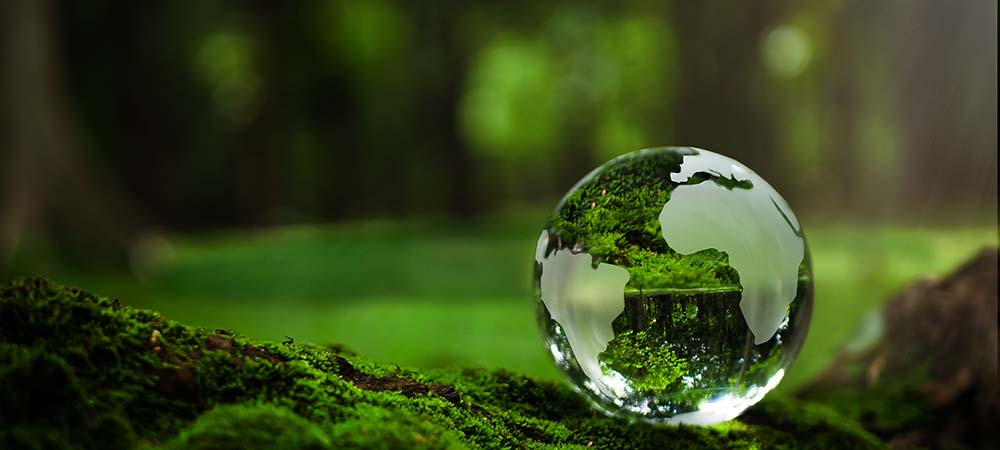 Editor’s Question: How can SMEs meet net zero targets?