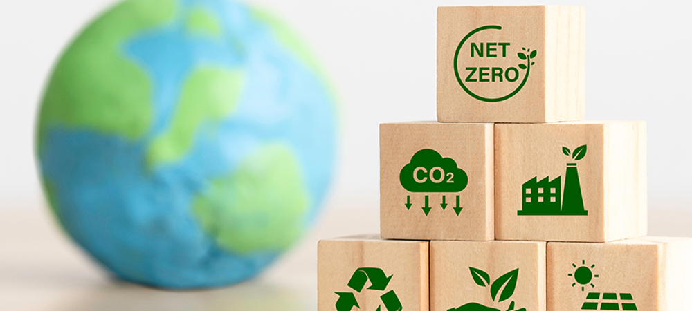 UK SMEs are unclear how to reach net zero despite big businesses making progress