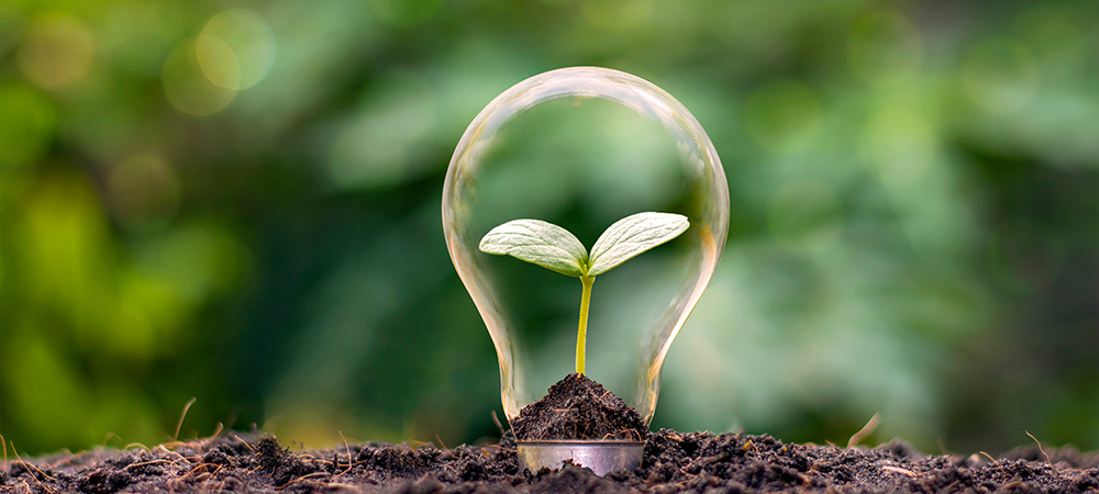 Liberis launches a funding initiative that rewards sustainable SMEs