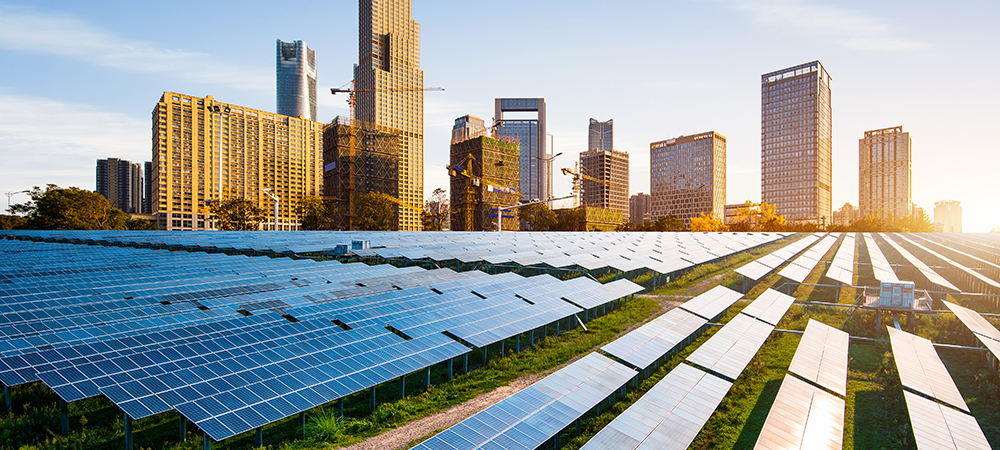 Building a global workforce to help save the planet