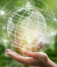 New report from Rimm Sustainability reveals 80% of UK SMEs are committed to sustainability