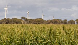 More than half of UK SMEs are already able to report accurately on the environmental risks posed by their IT