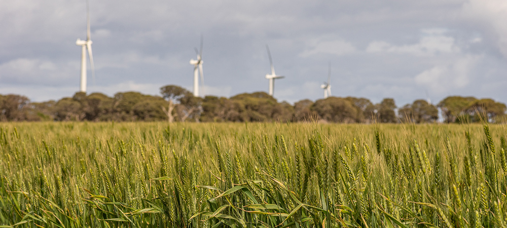More than half of UK SMEs are already able to report accurately on the environmental risks posed by their IT