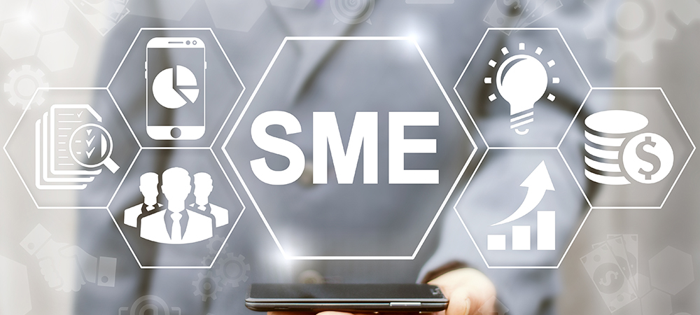 The role of public-private partnerships in accelerating global SME digitalisation