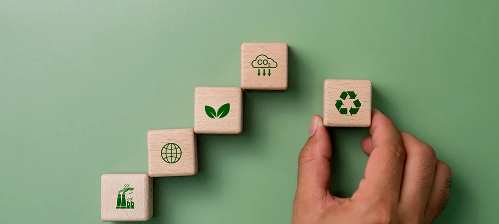 Five visual strategies SMBs can use to attract today’s eco-conscious consumer 