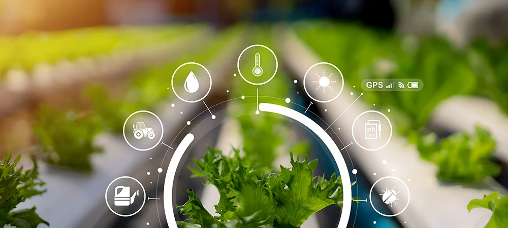 Mandala Capital secures Green Climate Fund approval to scale climate adaptation in South and Southeast Asia 